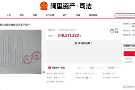 什么情况？*ST亚联旗下开店宝45%股权公开拍卖，买家为其大股东且还是“老赖”图片
