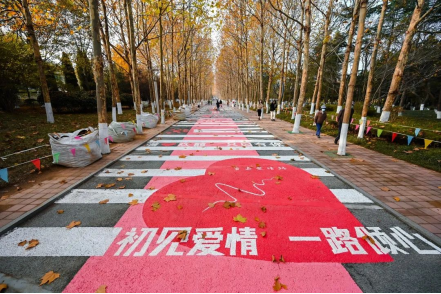 来，快收好这份爱情路打卡攻略