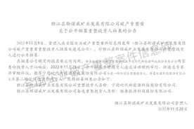 这家公司在破产重整环节被宁德时代看上了！​控股权曾拍出20亿元天价图片