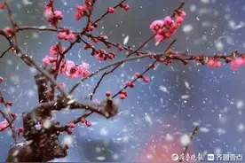 文学短评｜吴福木：“砰的一声”图片