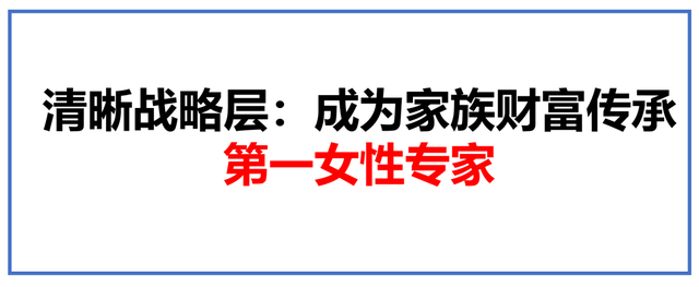 ϰIP滮ռʸ¡Ҫ