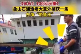 长3米，重200斤！象山渔民捕获“带鱼王”，网友：味道如何呢？图片