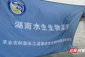 十年禁渔湖南行动｜长沙：已监测到鱼类30余种，较禁渔前增长50%图片