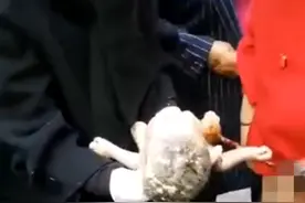 产妇进医院无核酸被迫街边产子？四川古蔺县回应：不实图片