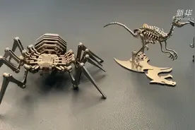 云南玉溪：原创拼装模型带来别样乐趣图片