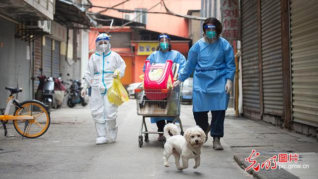 齐心战疫守护群众生命健康防线