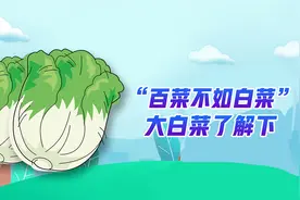 “百菜不如白菜”大白菜了解下图片