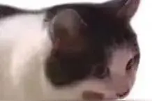 一上班就手腕痛，快收藏这 5 件缓解疼痛的小东西图片