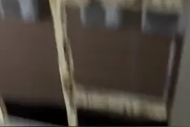 暖心！男生隔窗给小学生唱歌 收获孩子们的阵阵掌声图片