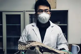 产卵骤降99%，有谁还知道长江一霸 | 物种图片