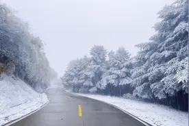 视频丨今冬第一场雪！双牌阳明山已银装素裹恍如仙境图片