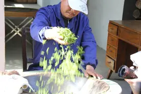 新添人类非遗“浙”六项，认识一下薄叶的安吉白茶怎么炒图片
