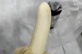 这样饲养蚯蚓不但保鲜还能繁殖图片