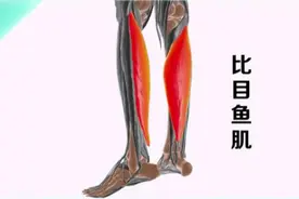 抖腿抖不停，这是病还是毛病？出现这样的抖腿可得警惕起来图片