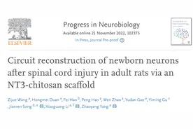 上海专家这项新发现，有望为脊髓损伤患者提供新治疗方案图片