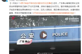 一只没少！男子拾金不昧归还价值300万元玉镯图片