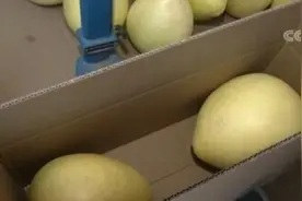 邮政快递年新增就业20万人以上 日均业务量超3亿件成常态图片