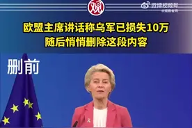 驻日美军一架F35战机在嘉手纳基地机头触地图片