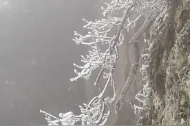 【天气】广东有多“冻”？韶关下“雪”了！周末还有新冷空气，送上7个预防感冒小措施→图片