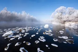 冬季气候干燥，四款滋润汤水能治皮干脱屑图片