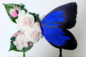 小画笔·大世界｜创意手工，落叶拼贴，来看看孩子的创意的作品吧图片