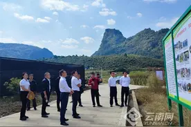 云南广南：把金融“活水”引流到“田间地头”图片