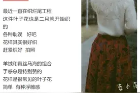 附详细教程，叶子花：浮雕感花样圆肩毛衣（有编织图解）图片
