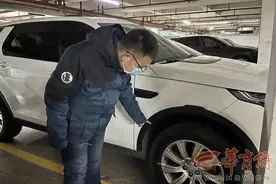 疑流浪猫狗车底打闹损坏车辆 车主维修花费近6000元图片