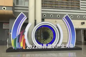 俄罗斯工程院外籍院士严群：良率不高是制约国内OLED产业盈利的关键图片