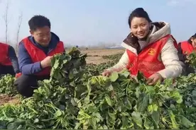 志·愿 听我说丨他们把“红马甲”当情侣装 携手在志愿路上越走越有劲图片