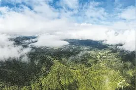 央媒看海南丨走进海南热带雨林国家公园——展示热带雨林之美图片