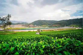 关注 | 2022年云南省外贸进出口同比增长6.3%！图片