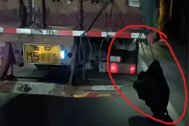 货车尾部怎么挂着电动自行车挡风罩？盱眙民警破获一起肇事逃逸案图片