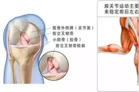 科普｜世界杯狂欢背后，这些运动损伤该如何预防和处理？图片