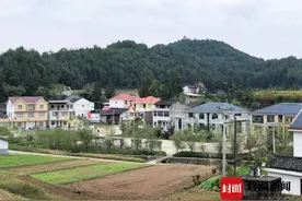 扎实推进乡村振兴，看四川南部县柏垭观村的“幸福密码”图片