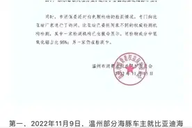 BYD海豚被曝空调喷出“白色粉末”？官方回应来了图片