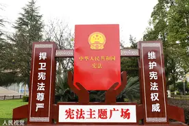 宪法日｜备案审查制度四十年：由鸭子浮水到扬帆起航图片