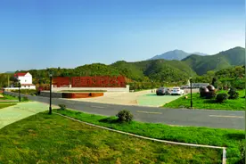 一棵油茶树引来多部文件关注 常山这场产业发展大会透露哪些信息？图片