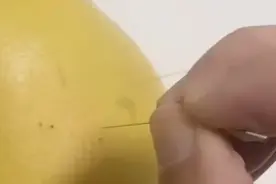 医生在水果上苦练飞针技术，0.12特细软毫针飞针精准刺入图片