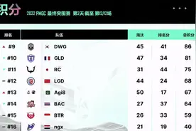 YZZ一人难救主，LGD告别和平精英总决赛图片