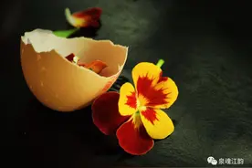 摄影笔记丨静物摄影图片