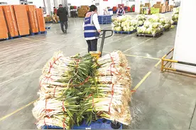 鄂豫同心！满城争购爱心葱，知恩图报！两地再续兄弟情图片