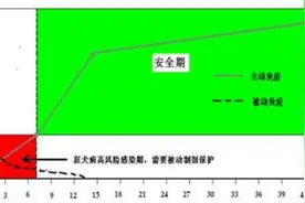 狂犬病被动免疫新选择——全球首创双抗要来了图片