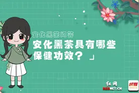 安化黑茶问答图片