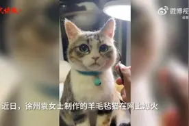 徐州女子制作“羊毛毡猫”爆火网络，订单已排到3年后视频封面