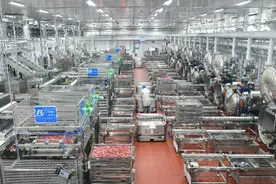 谋定三大方向，双汇在高质量中快速发展图片