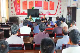 苦寒荞麦盛开致富之花图片