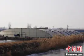 宁夏银川：冬储螃蟹有“钱”途图片