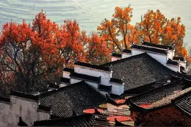 深秋邂逅初冬际，来饮一杯篁岭否？图片