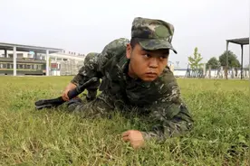 熄灯号丨小胖的成长日记图片